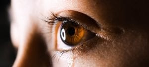 emdr